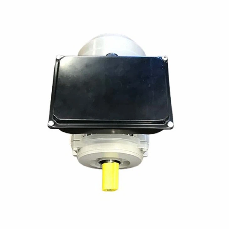 IMG_3242.JPG-removebg-preview(001)